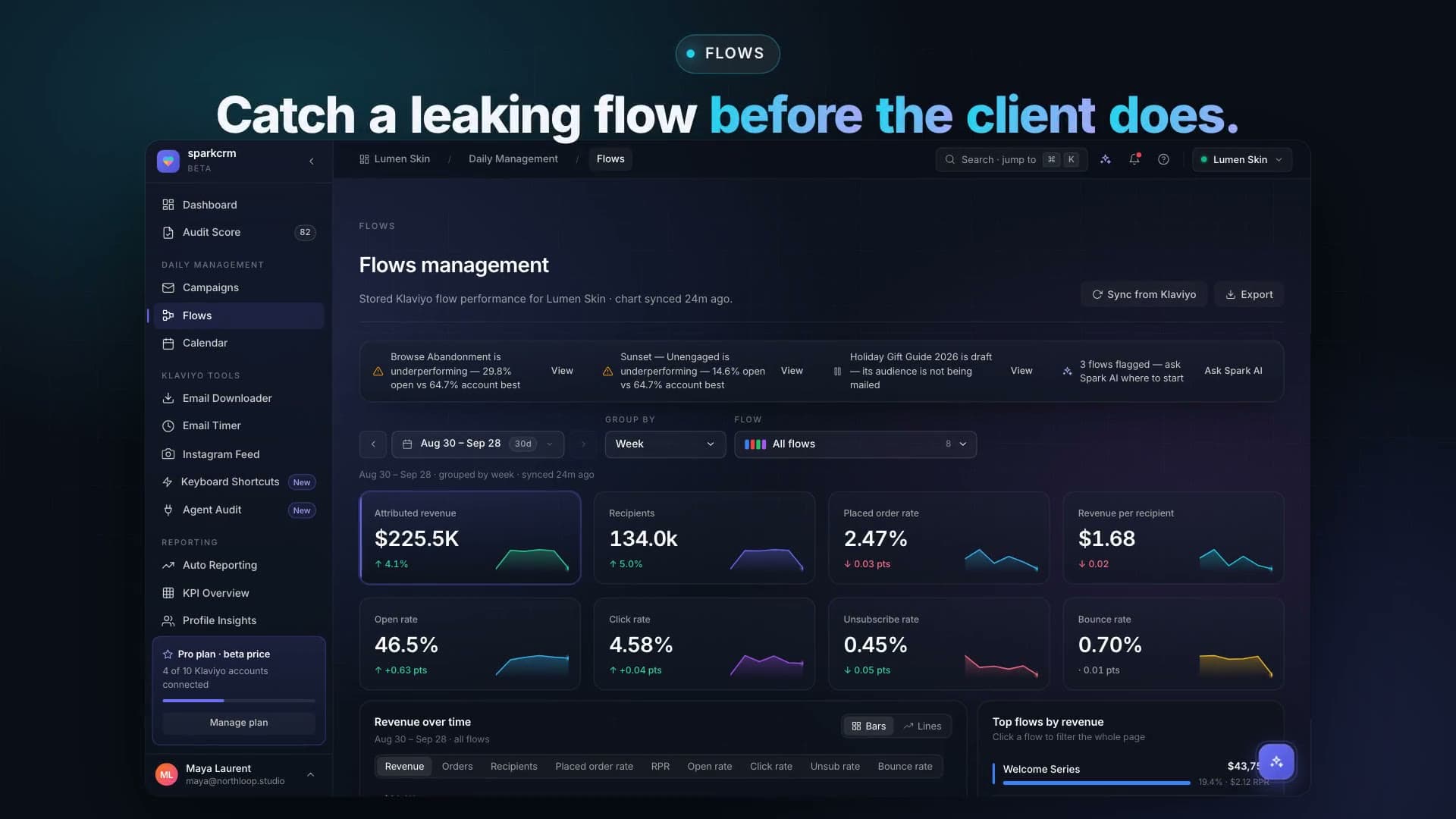Flows demo video preview
